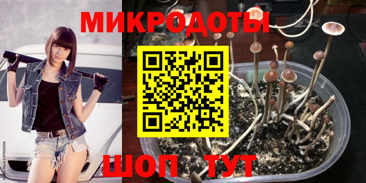 Галлюциногенные грибы MAGIC MUSHROOMS Заинск