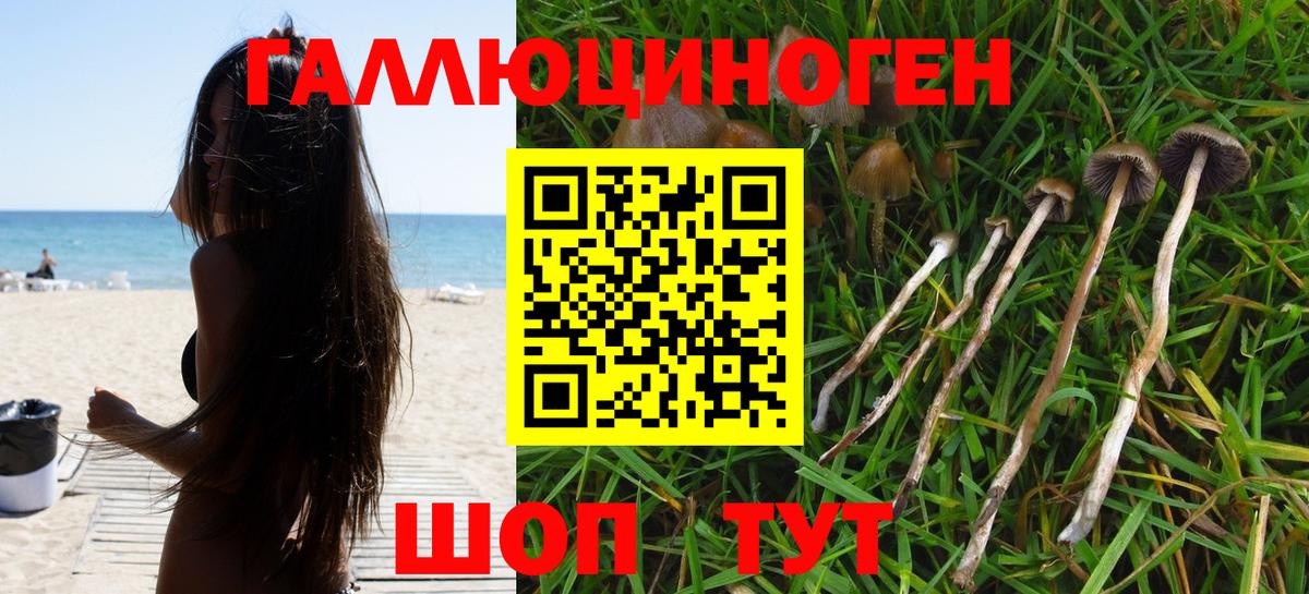 Галлюциногенные грибы MAGIC MUSHROOMS  Вход с VPN  Псилоцибиновые грибы MAGIC MUSHROOMS  Заинск 